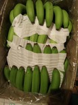 香蕉广西代办图片5