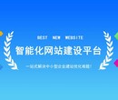 10年网站制作公司定制型网站2000元起图片