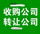 注册公司费用图片