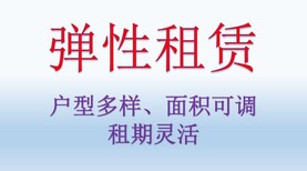 10至50平，南山蛇口办公室出租880，租赁凭证图片2