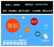 坪地网站建设公司龙岗网络推广沙井网站改版晒布网站设计图片3