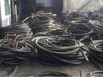 电缆回收公司废电缆回收公司电线电缆收购电话图片3