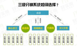 济南网站建设_建网站_网页制作_优化_网络推广图片1