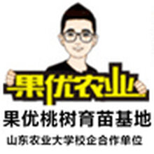 风味皇后——最优油蟠桃苗木尽在临沂果优农业图片