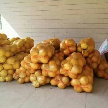 梅州琯溪蜜柚
