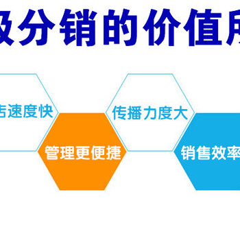 网站建设、公众号建设、分销商城、营销、软件开发