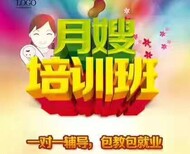 急招10名保姆带宝宝，心态好，包吃住，急上班图片3