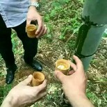 江西中秋节竹筒酒厂家/鲜竹酒代理/楠竹酒批发图片4