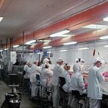 上海食品厂装修面包房装修烘焙房装修工程公司找上海映砚