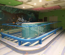 婴幼儿游泳馆---泑泑贝国际水育乐园