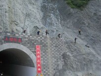 供应东北地区山区安全菱形防护网图片4