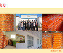 西门塔尔牛浓缩饲料北京英美尔饲料厂家新疆内蒙古图片