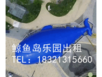 威海鲸鱼岛海洋球乐园出租鲸鱼岛租赁蓝色大鲸鱼图片