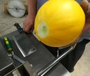 商用柠檬香蕉切片机多功能蔬菜药材切片切块机高效节能图片