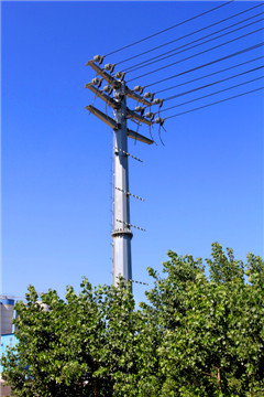 贵州六枝特区21米10kv电力钢杆10kv耐张杆厂家直销