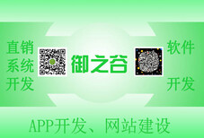 APP+网站建设分销商城开发、商城---御之谷网络图片2