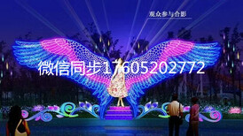 梦幻灯光秀活动厂家公司图片4