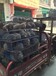 湖南旺达特种养殖出售优质种苗竹鼠批发竹鼠100一斤