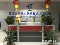 深圳龙华响应式网站营销型网站建设提供seo优化培训图片3