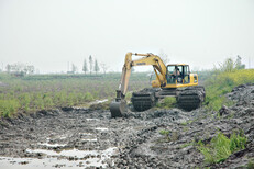 果洛常柴215-9水路挖掘机租赁河道清淤沼泽地开发图片2