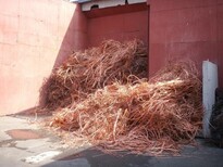 甘肃省（庆阳）电缆回收回收市场价格-不限废旧与二手图片2