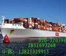 國內集裝箱門到門的運輸服務國內海運經濟性、安全性、船期穩圖片