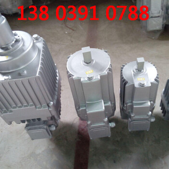 ED121/6電力液壓推動(dòng)器廠家價(jià)格