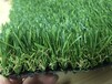 河南人造草坪，走廊阳台室外地毯人工塑料假草皮