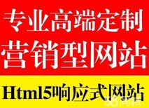 深圳龙华响应式网站营销型网站建设提供seo优化培训图片0