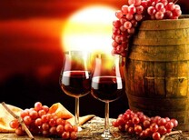 西班牙红酒进口代理公司/进口西班牙红酒报关公司图片3