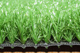 仿真草坪人造草坪人工草皮塑料假草坪幼儿园学校装饰加密绿色地毯