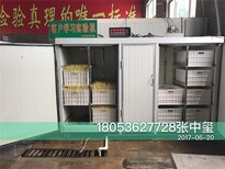 庆华豆芽机械设备购买机器免费提供技术指导图片4