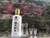 酱台王美故乡酒图片3