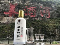 贵州酱台王酒业有限公司图片2