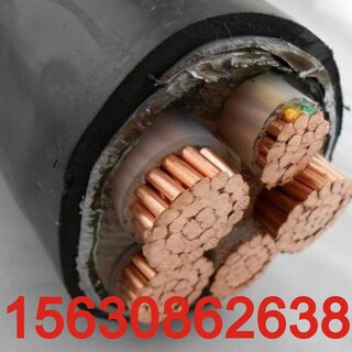 求助：濮阳电缆回收-市场《比上年》价格高多少钱图片4