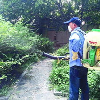 客家人番禺除四害消杀灭鼠防鼠防白蚁服务公司