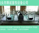 供应养猪设备母猪产床复合母猪产床铸铁板母猪产床图片