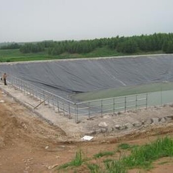 猪场氧化塘的施工与黑膜沼气池的铺设