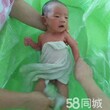 保姆家政等服务钟点工小时工图片