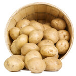 农家土豆马铃薯无公害种植