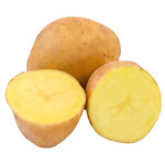 供应陕北农家种植自然成熟马铃薯土豆洋芋