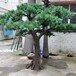 北京仿真树厂家北京玻璃钢树定做厂家