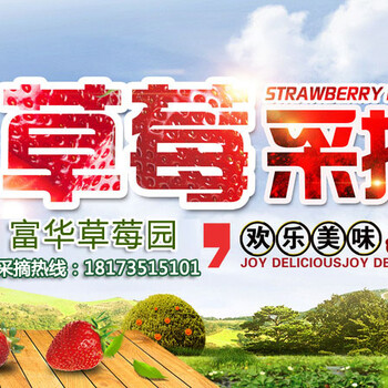 富华草莓园郴州草莓郴州奶油草莓奶油草莓采摘郴州奶油草莓采摘