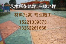 内蒙古艺术压膜地坪压花地坪哪家好上海梦逊新地坪材料公司图片3