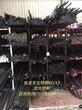 广东东莞模具钢4Cr13光圆S136圆钢4Cr13小圆棒