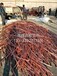 北京电缆回收北京电线电缆回收价格北京大量电缆回收