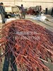 锦州大量新电缆回收，锦州废电缆回收价格