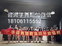 图片0