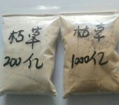 供应晨辉牌水产专用水溶性枯草芽孢杆菌Yb004饲料添加剂