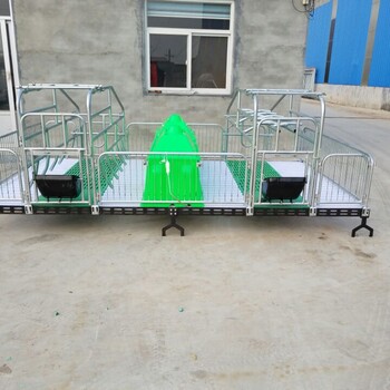 四川广元元坝区新型母猪产床价格新型双体母猪产床